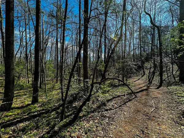a view of outdoor space with trees