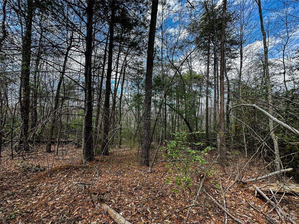 41.18 Acres (off Of) Pole Bridge Road Stuart, VA 24171 - Photo 28 of 39 a view of a forest with trees in the background