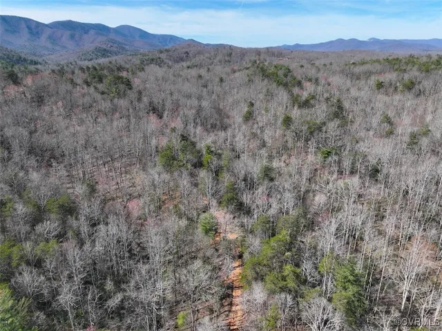 a view of a forest with mountains in the background
