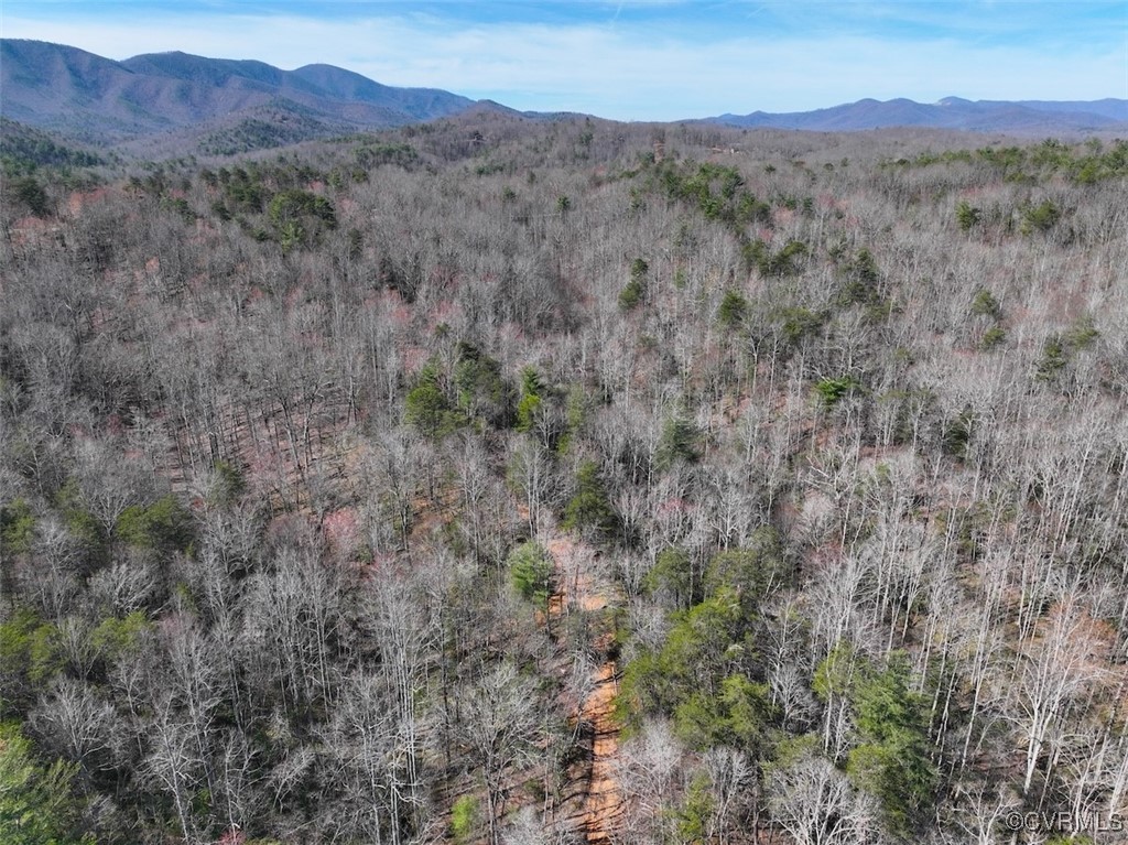 41.18 Acres (off Of) Pole Bridge Road Stuart, VA 24171 - Photo 3 of 39 a view of a forest with mountains in the background