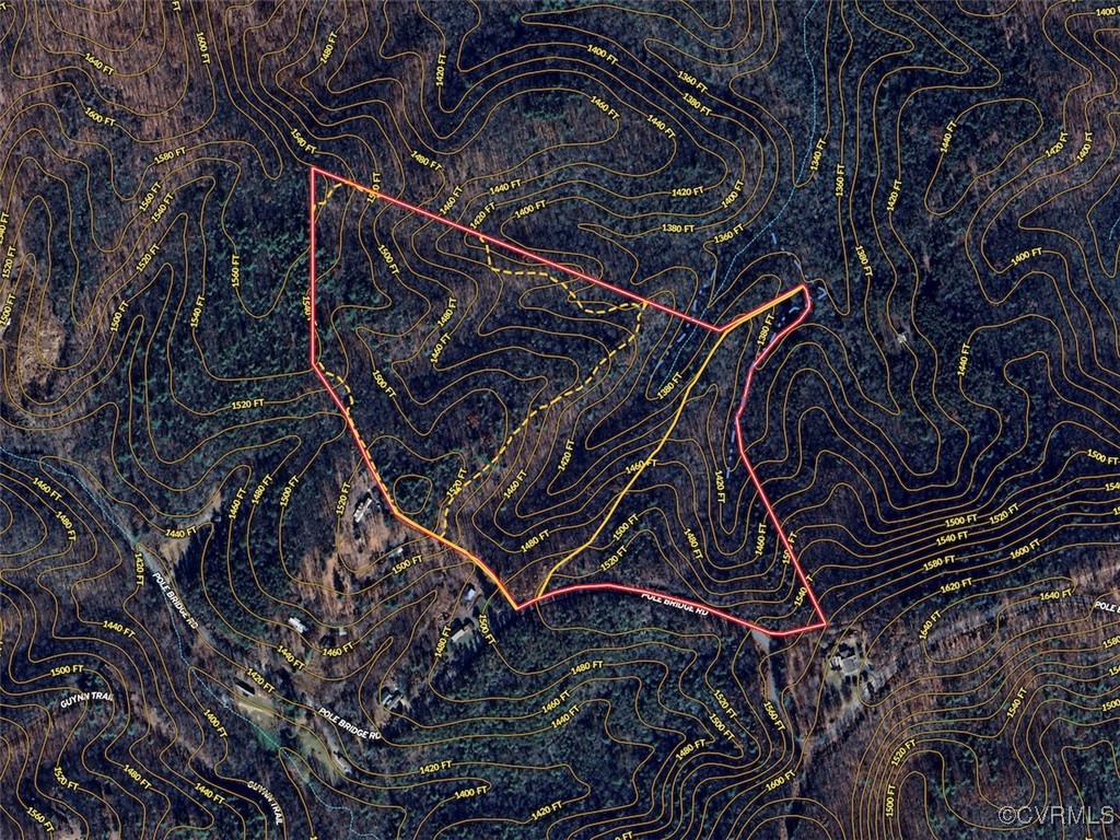 41.18 Acres (off Of) Pole Bridge Road Stuart, VA 24171 - Photo 37 of 39 a close up of a tree