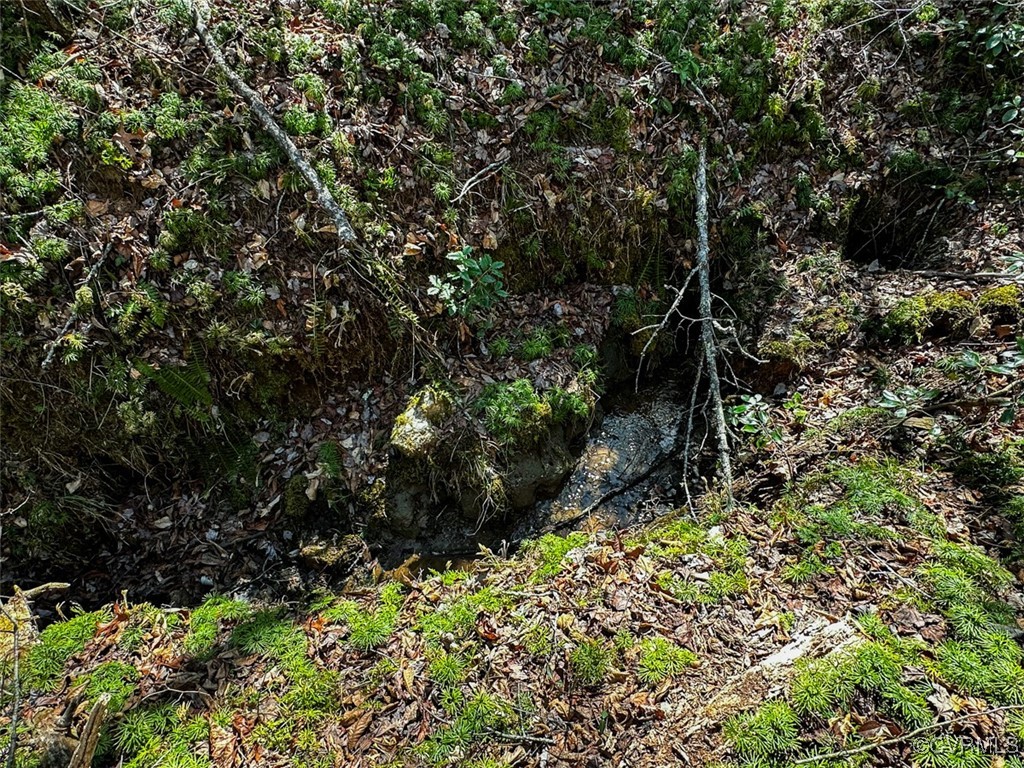 41.18 Acres (off Of) Pole Bridge Road Stuart, VA 24171 - Photo 5 of 39