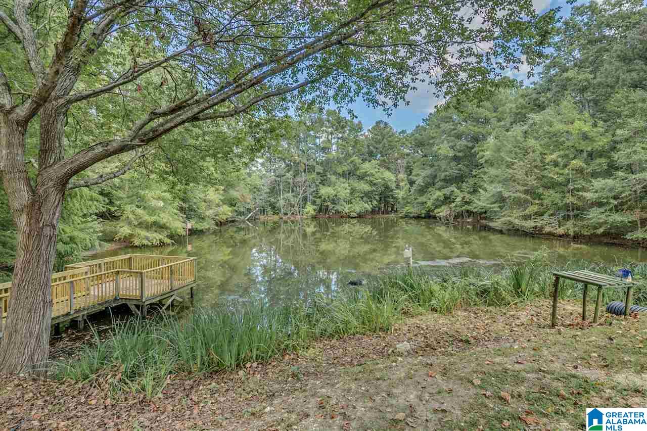 810 Griffin Road Chelsea, AL 35043 - Photo 38 of 50