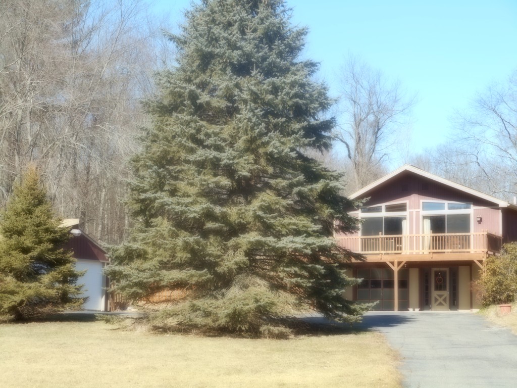445 Old West Brookfield Road Warren, MA 01083 - Photo 2 of 5 Gallery Image 2