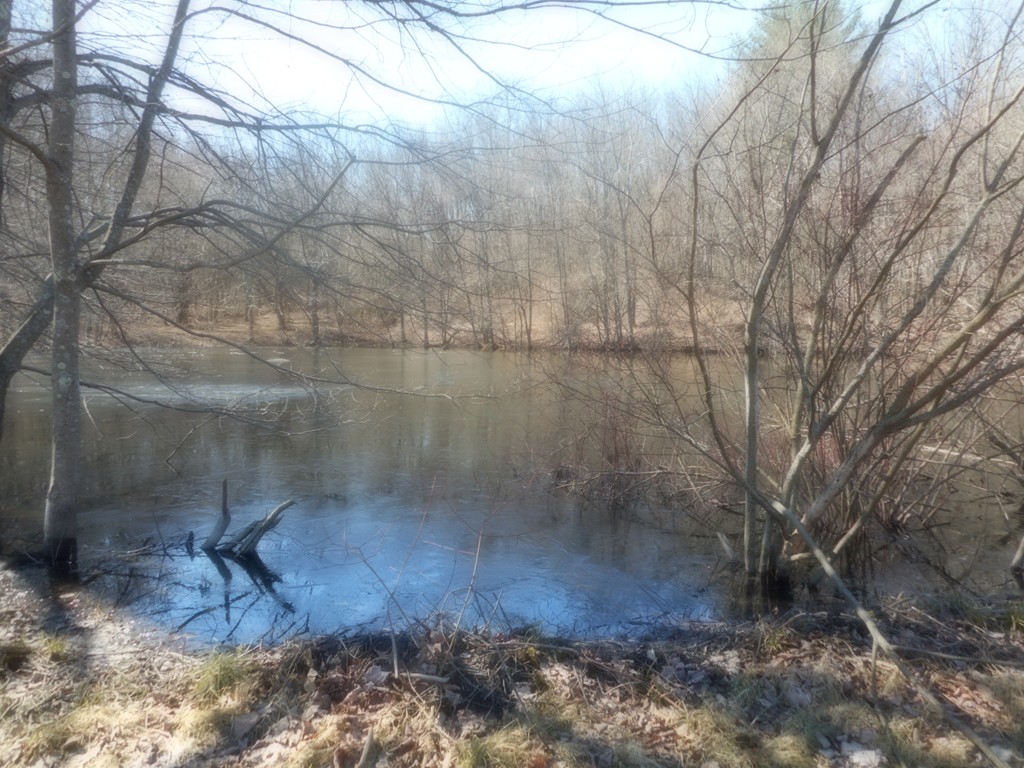 445 Old West Brookfield Road Warren, MA 01083 - Photo 4 of 5 Gallery Image 4