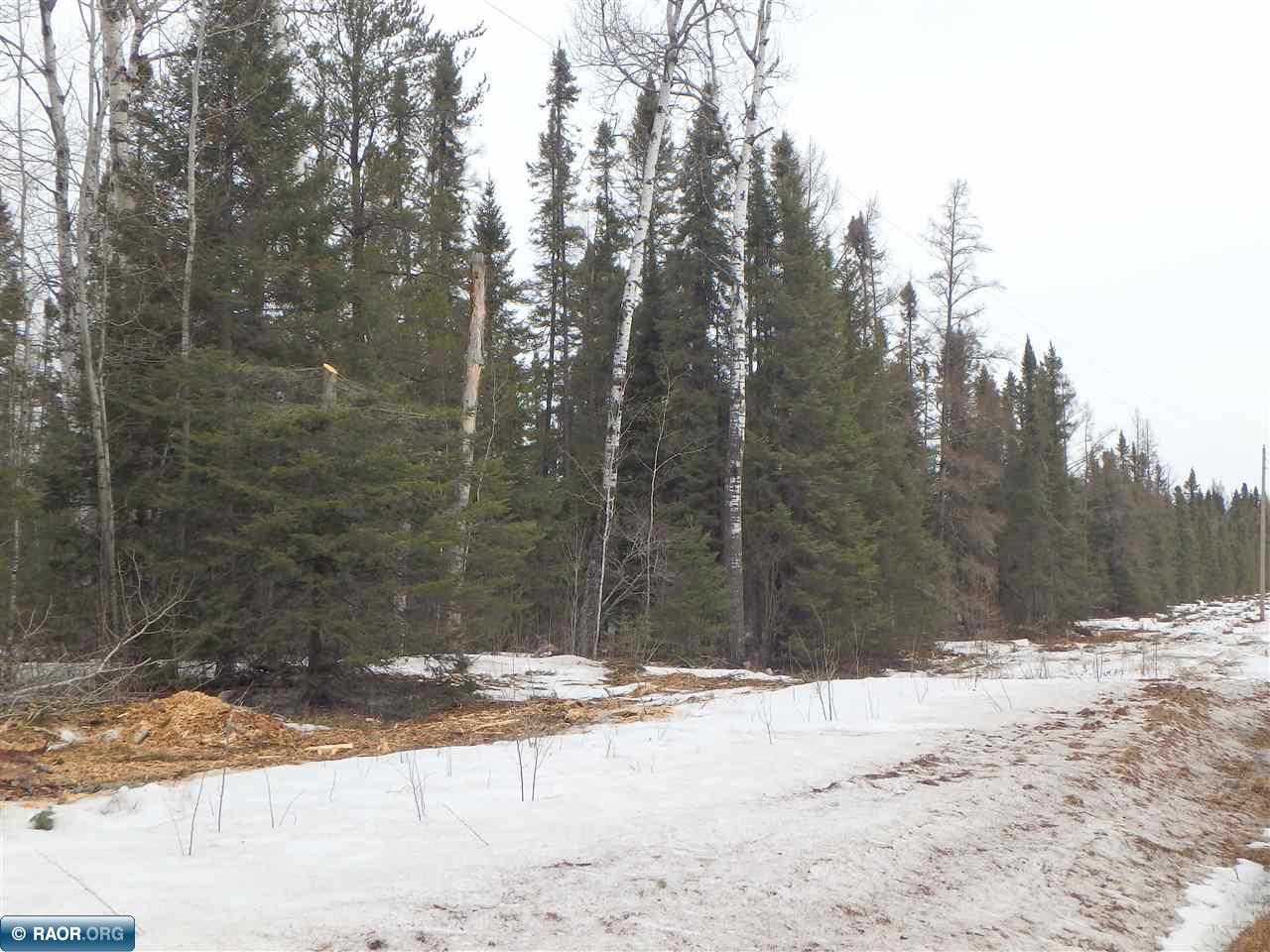 7127 Dallas Road Embarrass, MN 55732 - Photo 6 of 10