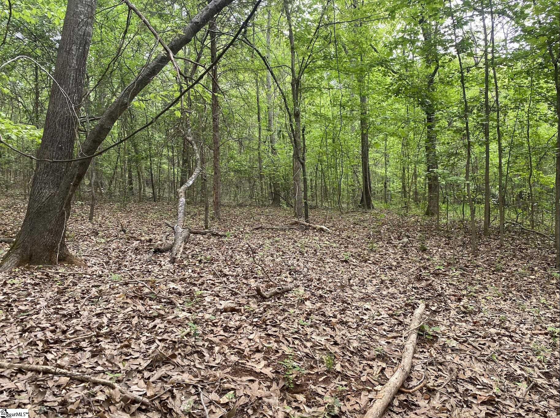 0 Wingo Road Wellford, SC 29385 - Photo 2 of 11