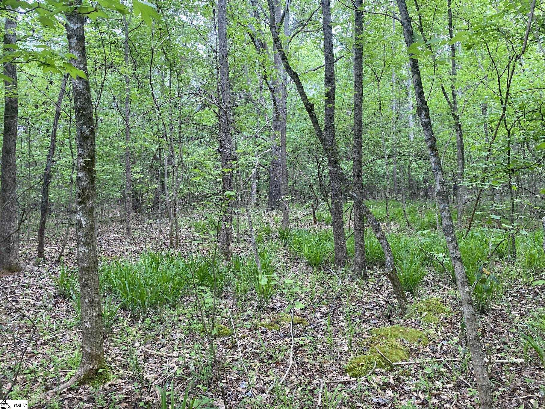 0 Wingo Road Wellford, SC 29385 - Photo 4 of 11