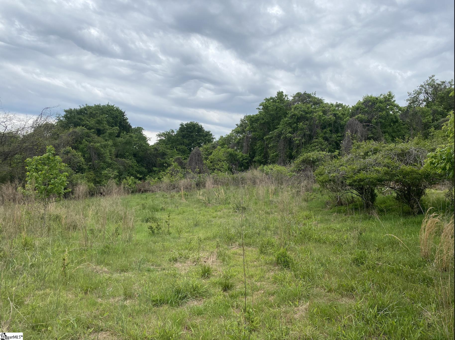 0 Wingo Road Wellford, SC 29385 - Photo 6 of 11