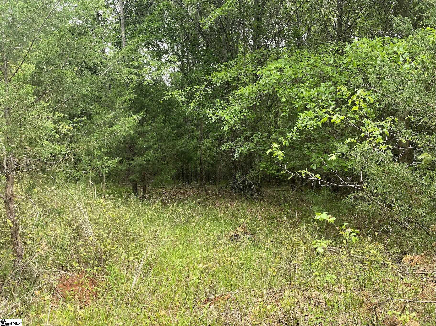 0 Wingo Road Wellford, SC 29385 - Photo 8 of 11