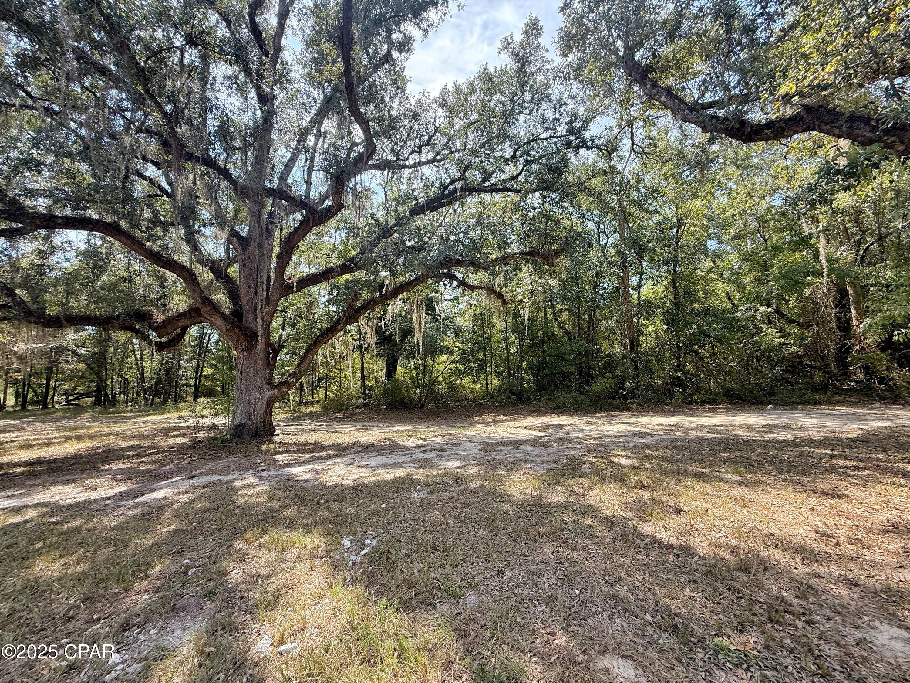 1818 Kaham Lane Grand Ridge, FL 32442 - Photo 27 of 30
