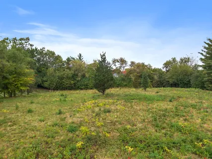 a view of a field with an trees