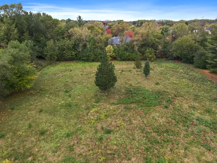 a view of a field with a tree