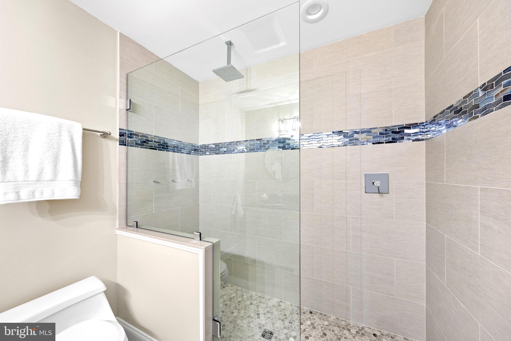 109 Blackpool Road Rehoboth Beach, DE 19971 - Photo 70 of 83 Fifth Bedroom Custom Shower