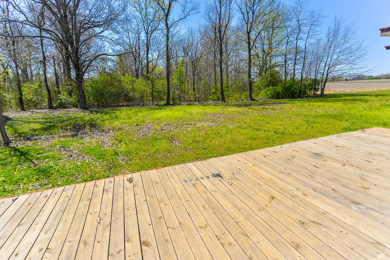 469 Limestone Road Elora, TN 37328 - Photo 10 of 30 a view of swimming pool and trees in the background