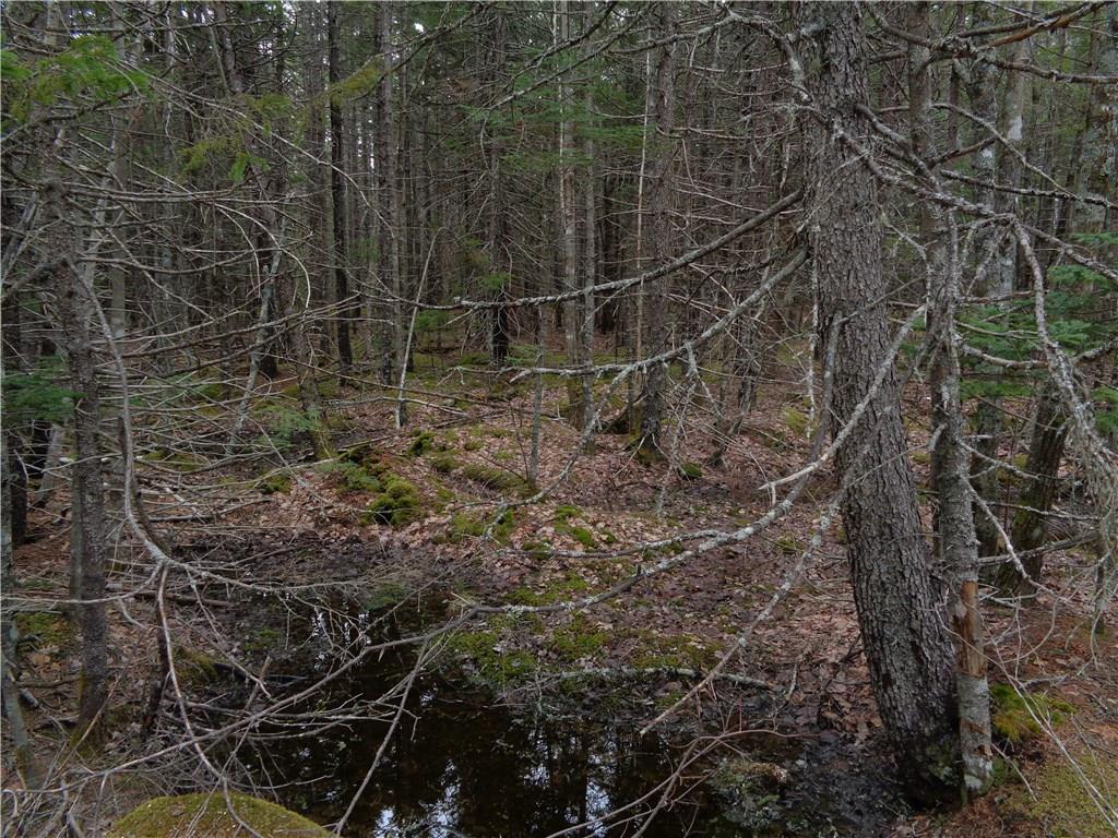 Lot 70-7 Peninsula Road Corea, ME 04624 - Photo 2 of 14 Photo