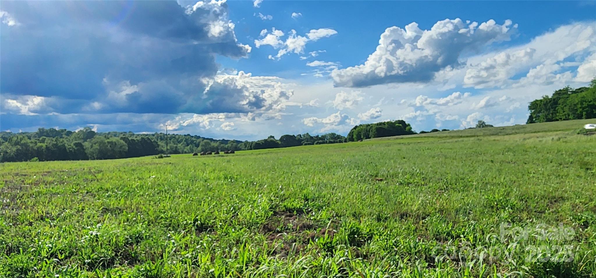3108 Rome Jones Road Newton, NC 28658 - Photo 2 of 3 a view of a big yard with a large tree