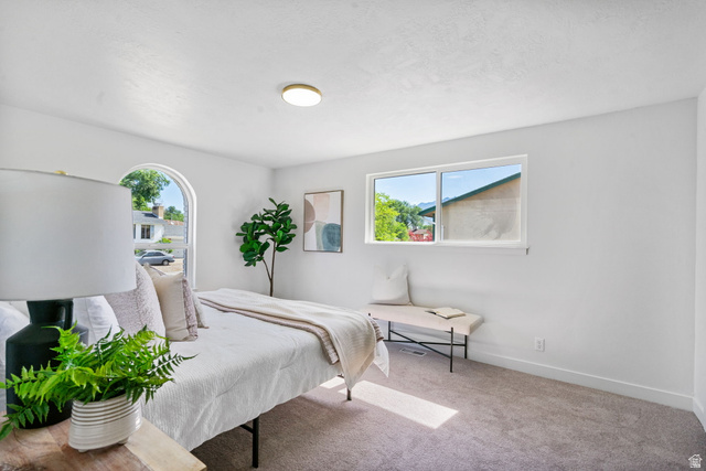 432 Calnette Drive Sandy, UT 84070 - Photo 15 of 48 Carpeted room featuring a large arched window and a rectangular window, white walls, and a flush mount ceiling light