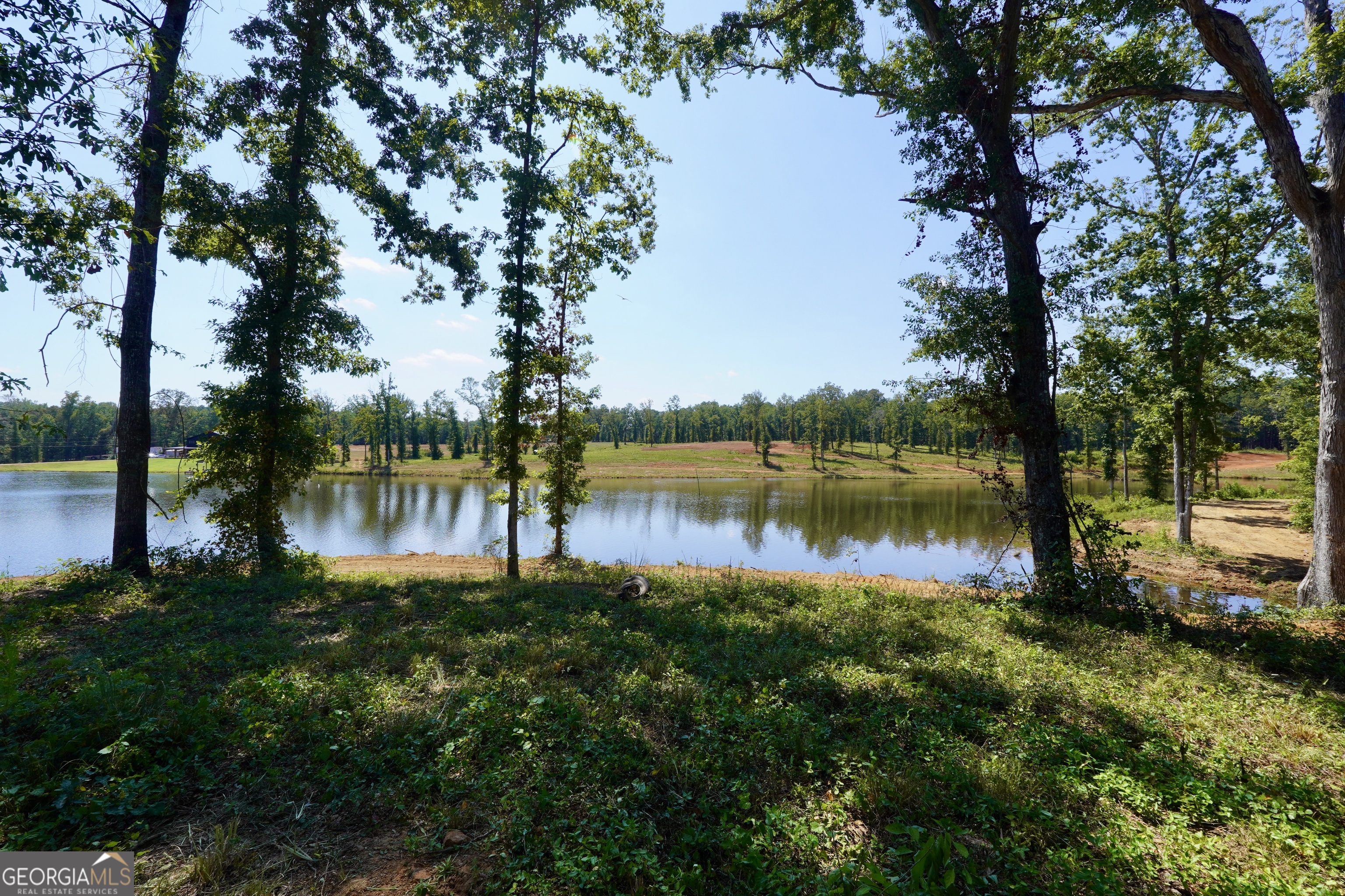 0 Walters Road Barnesville, GA 30204 - Photo 3 of 13