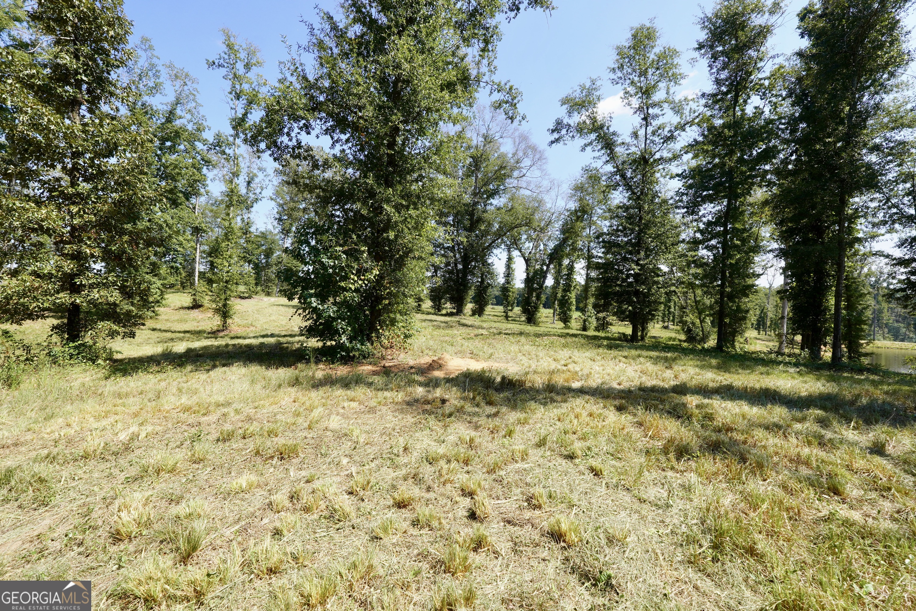 0 Walters Road Barnesville, GA 30204 - Photo 4 of 13