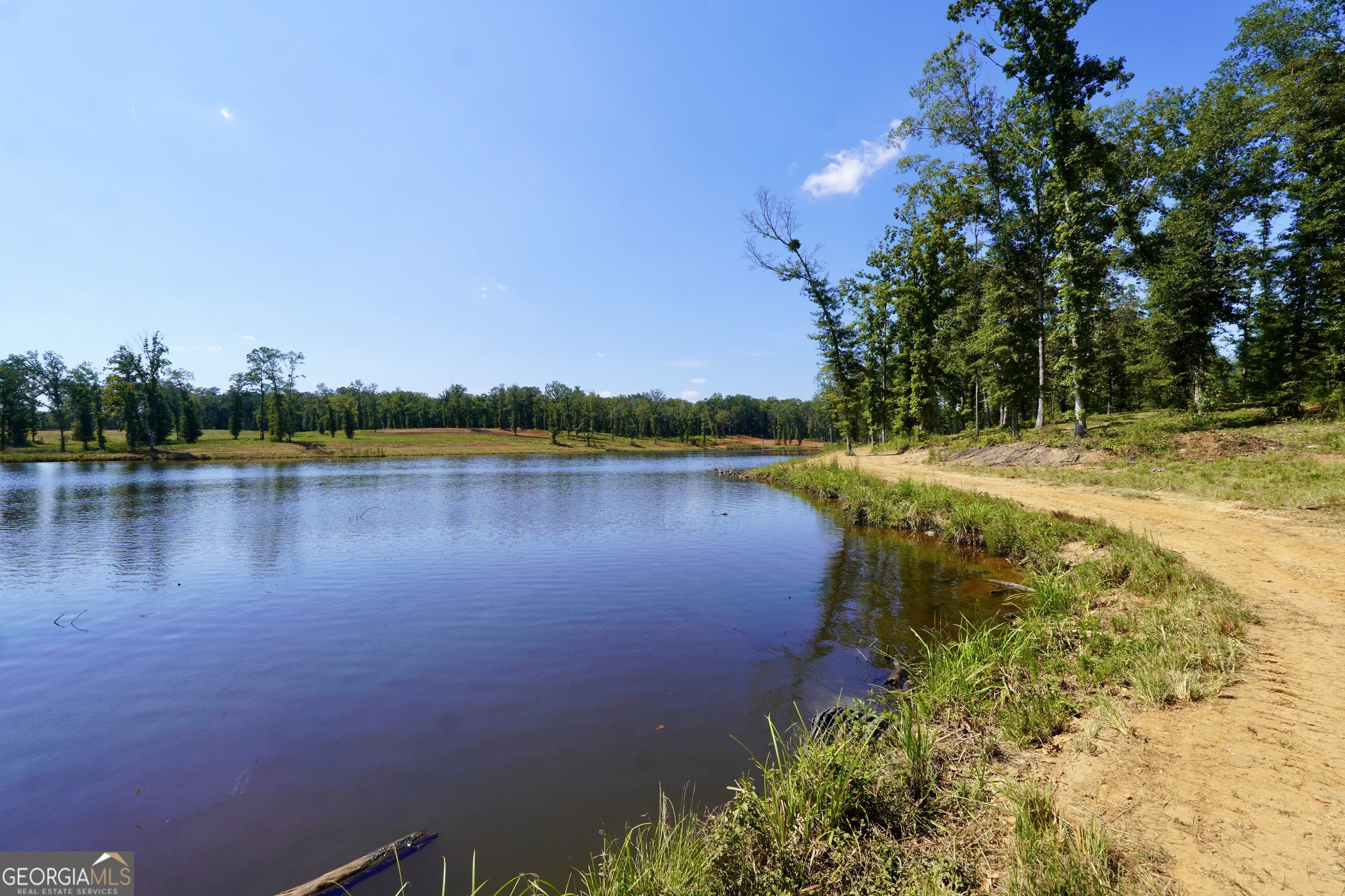 0 Walters Road Barnesville, GA 30204 - Photo 8 of 13