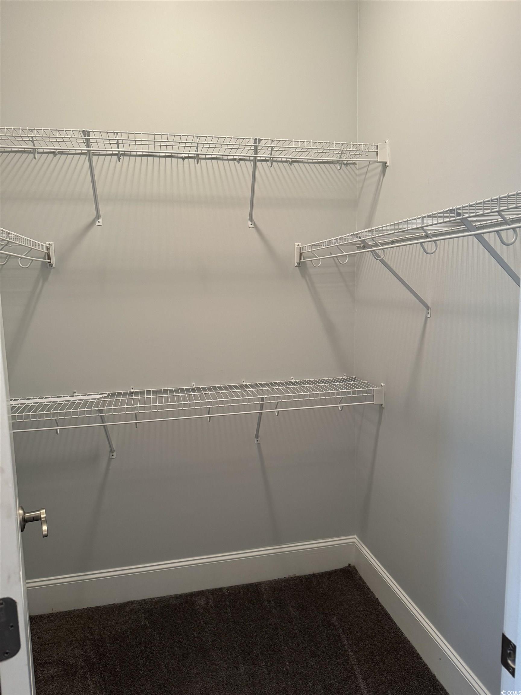 249 Venice Way, Unit 3105 Myrtle Beach, SC 29577 - Photo 17 of 40 Spacious closet with carpet