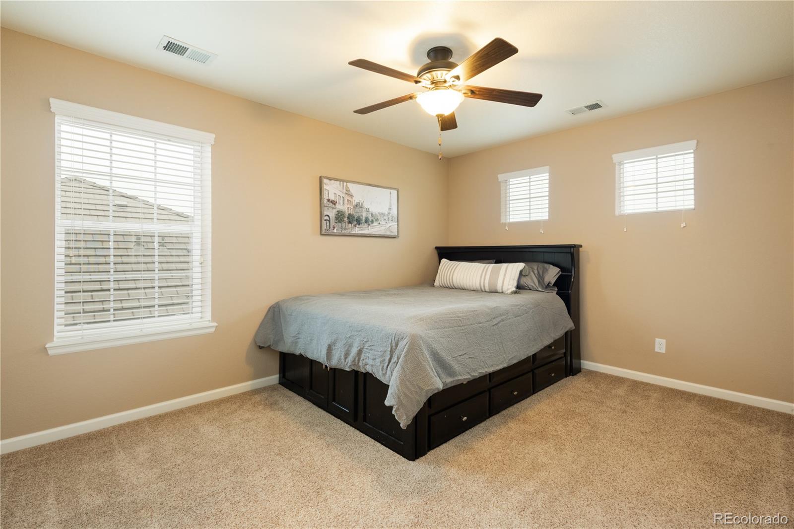 10523 Skyreach Road Highlands Ranch, CO 80126 - Photo 21 of 40 Gallery Image 21