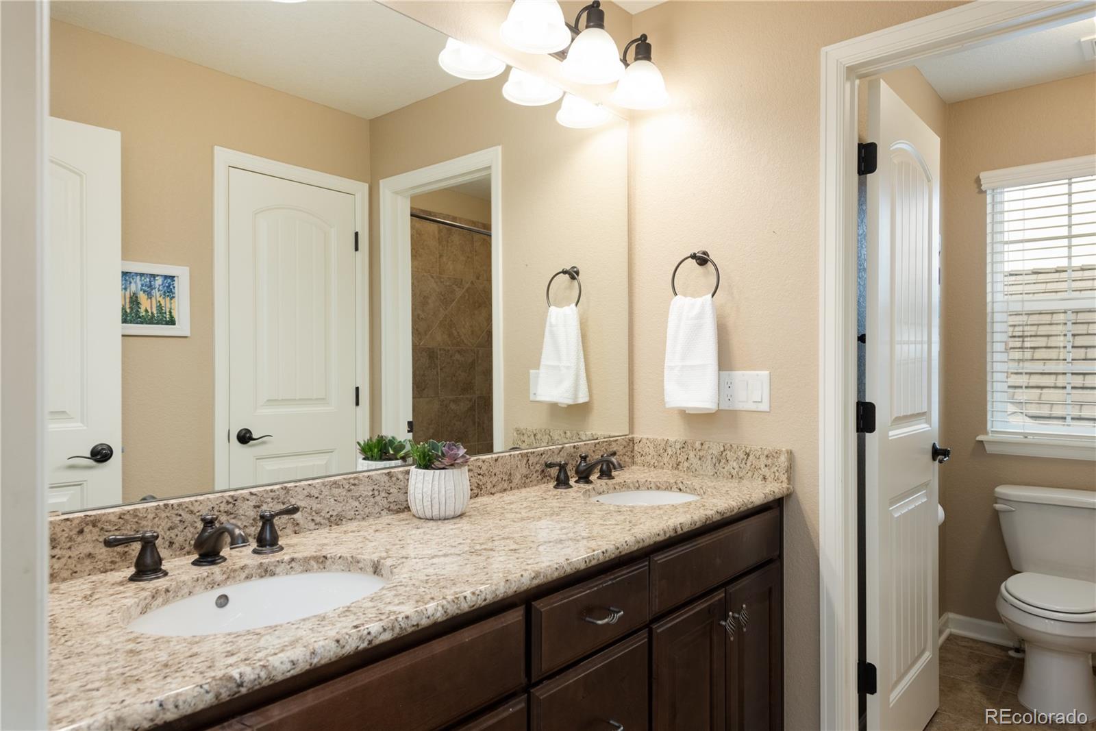 10523 Skyreach Road Highlands Ranch, CO 80126 - Photo 24 of 40 Gallery Image 24