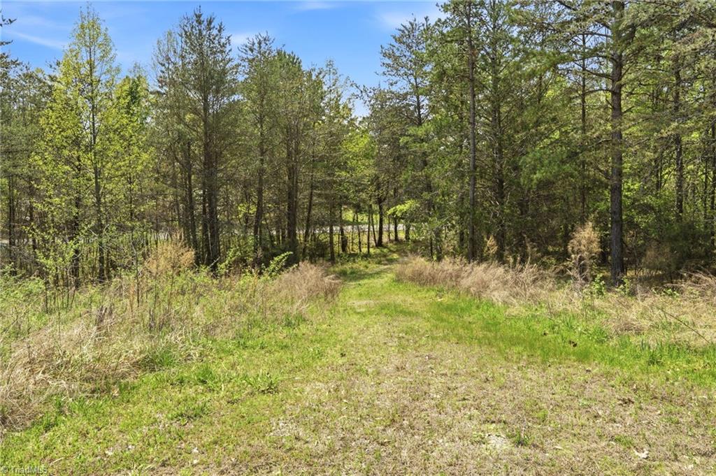 1355 Spainhour Mill Road Pinnacle, NC 27043 - Photo 14 of 14