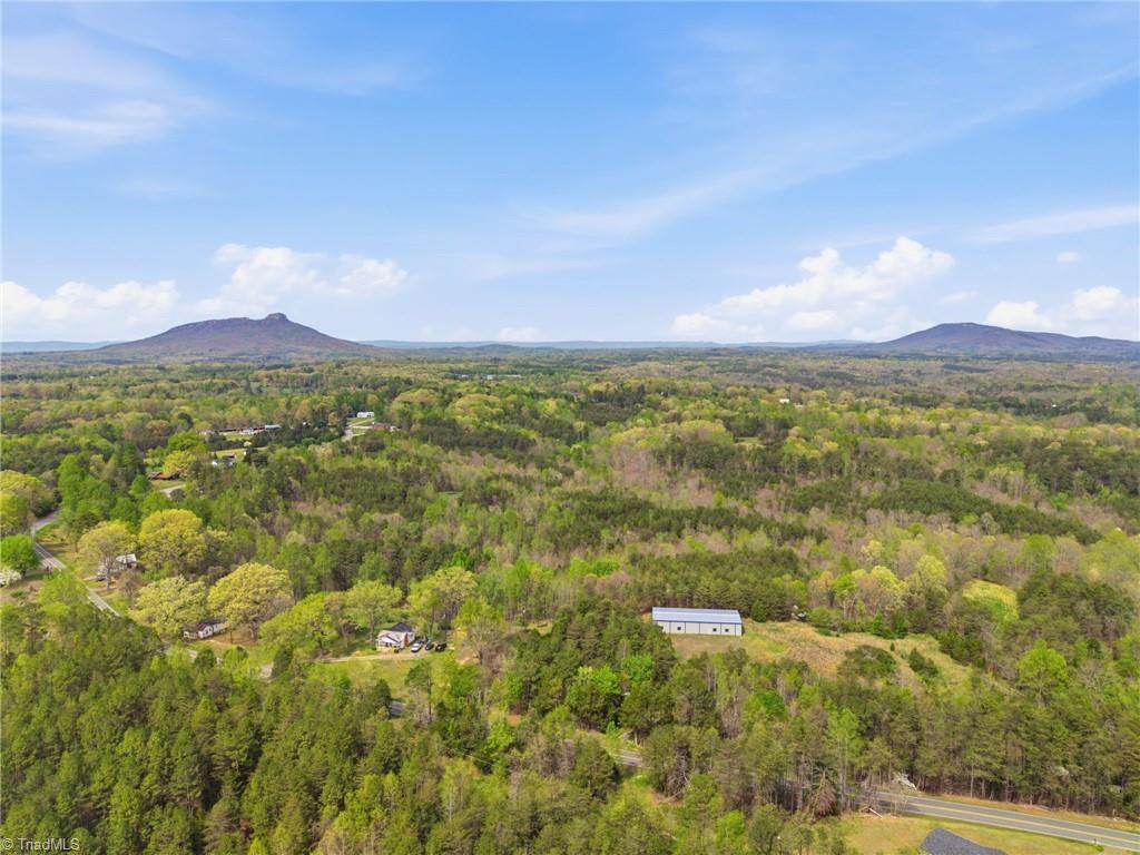 1355 Spainhour Mill Road Pinnacle, NC 27043 - Photo 6 of 14
