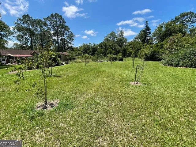 a backyard of a house with lots of green space