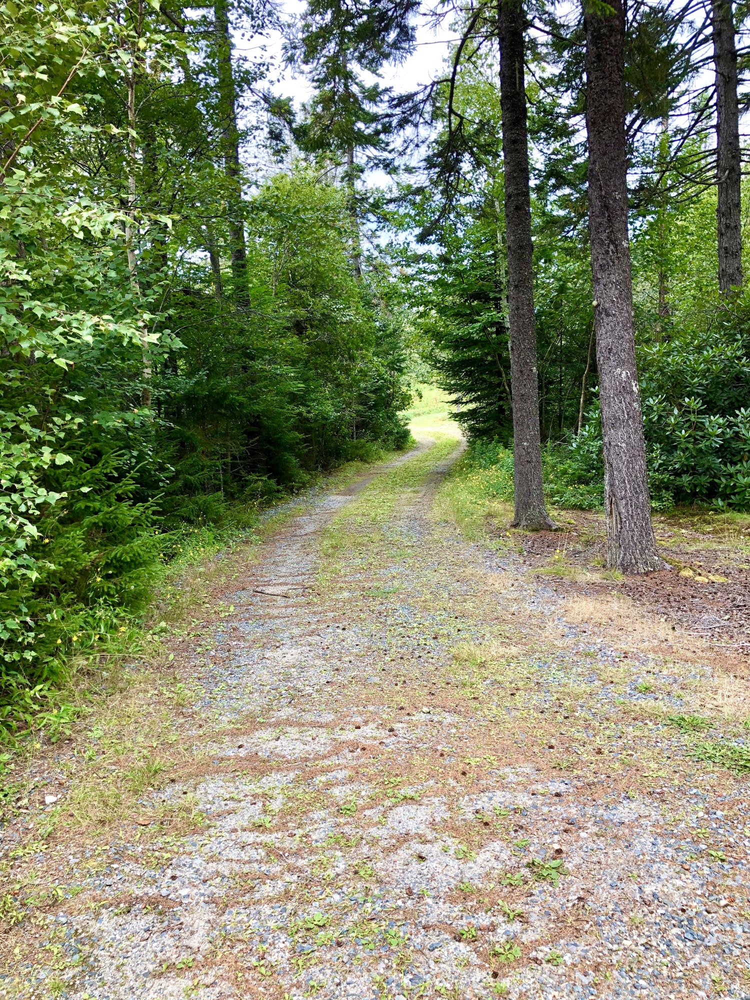 4 Lyford Road Bernard, ME 04612 - Photo 47 of 49 Driveway