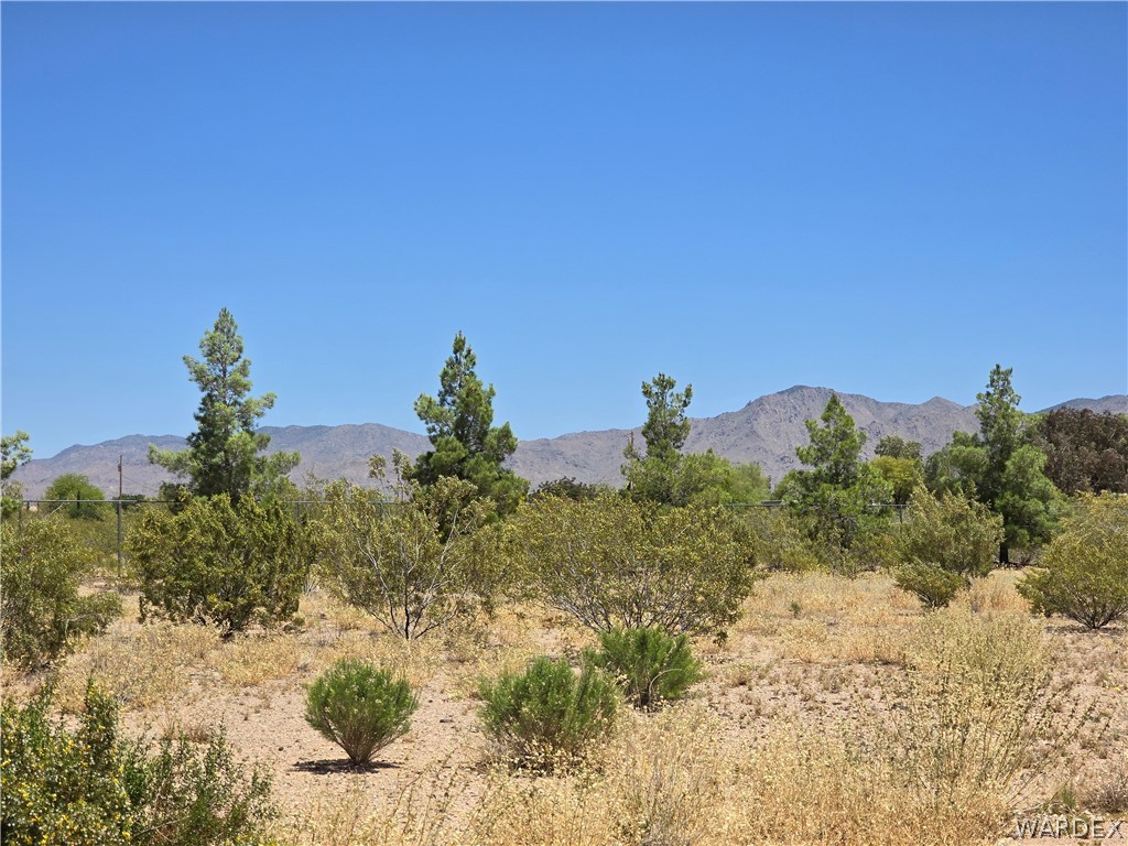 4950-17 Apache Road Golden Valley, AZ 86413 - Photo 97 of 100