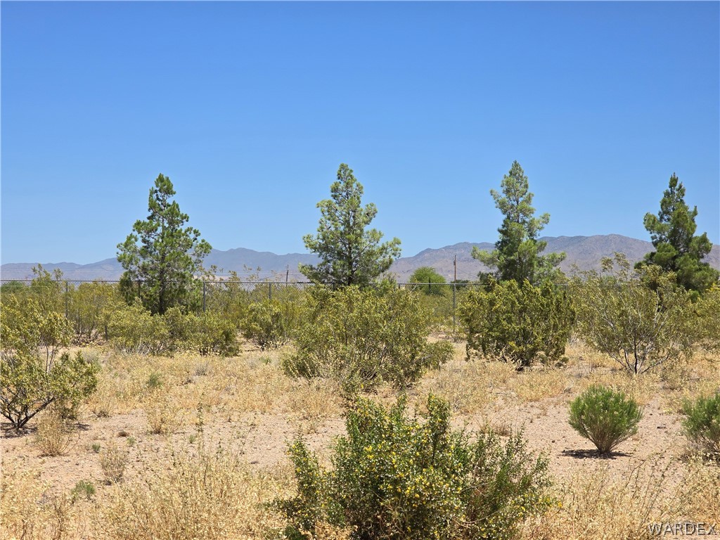4950-17 Apache Road Golden Valley, AZ 86413 - Photo 100 of 100 a backyard of a house with lots of green space