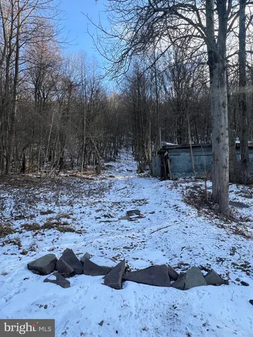 a view of backyard with green space