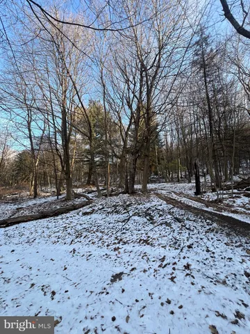 a view of a backyard with trees
