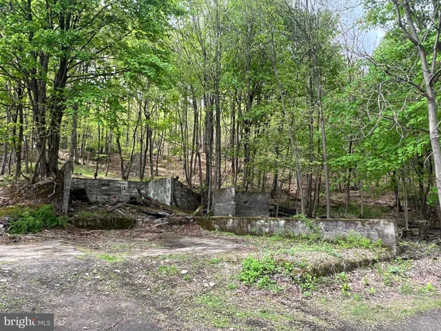 a backyard of a house with lots of plants and large tree