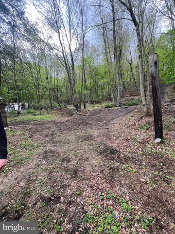 a view of a yard with trees