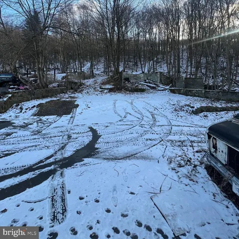 a view of a park with large trees