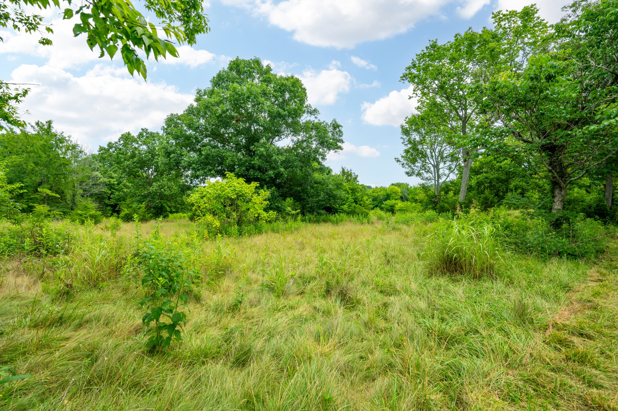 0 Haley Road Watertown, TN 37184 - Photo 13 of 18