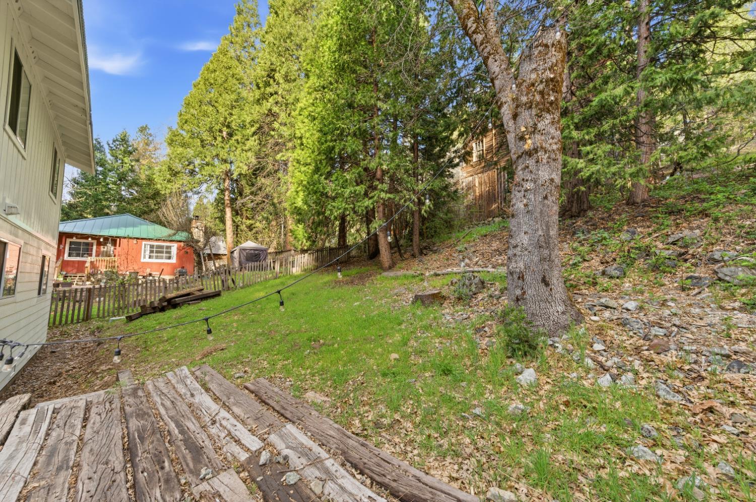 21 Spring Street Sierra City, CA 96125 - Photo 21 of 30 a view of a yard with plants and large trees