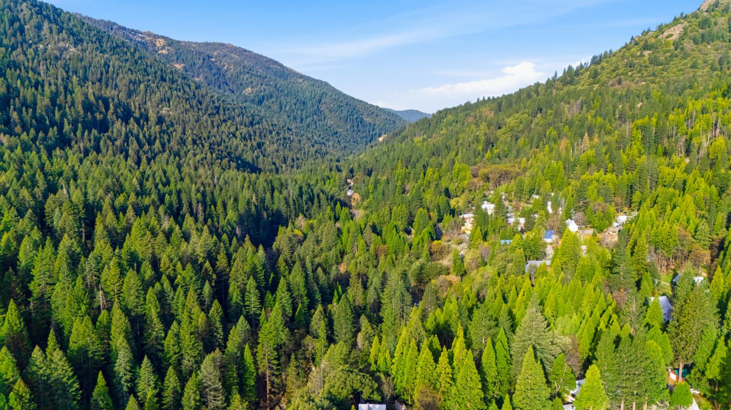 21 Spring Street Sierra City, CA 96125 - Photo 27 of 30 a view of a lush green forest with a mountain in the background
