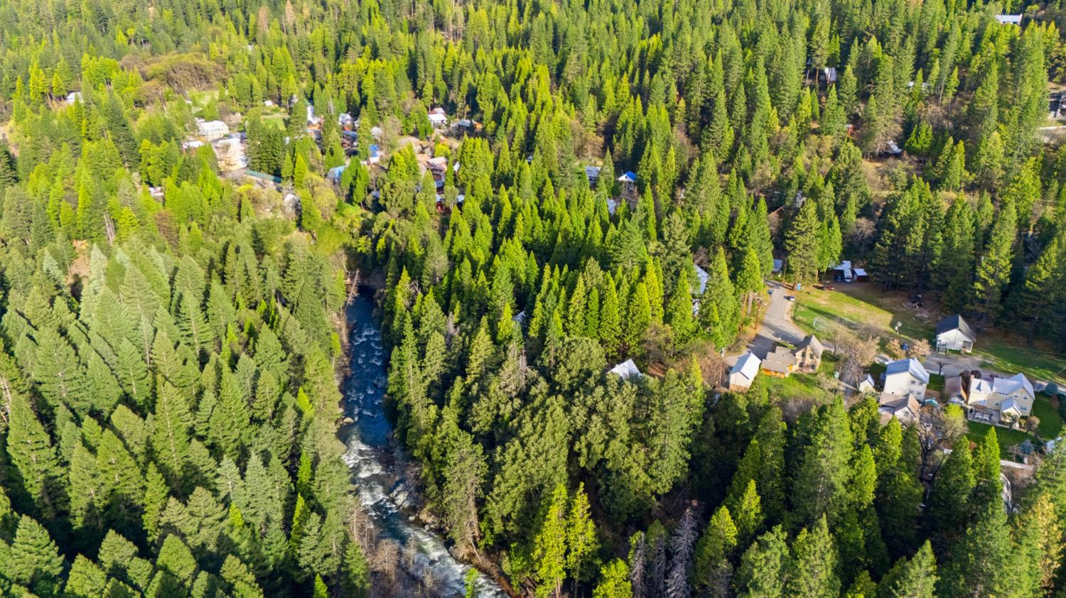 21 Spring Street Sierra City, CA 96125 - Photo 30 of 30 a view of a garden