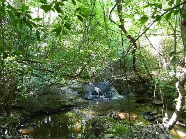 $2,200 | 220 Tuscarora Trail, Hartwell, GA 30643