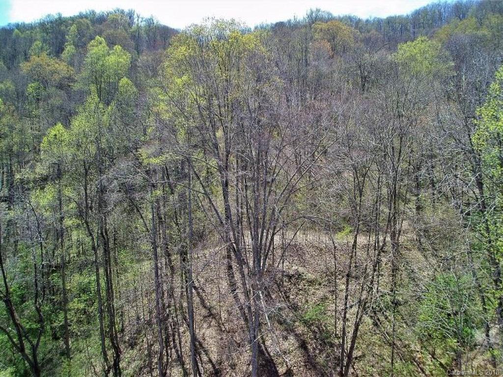 624 Carpenter Road Bryson City, NC 28713 - Photo 23 of 33 a view of a forest with lots of trees