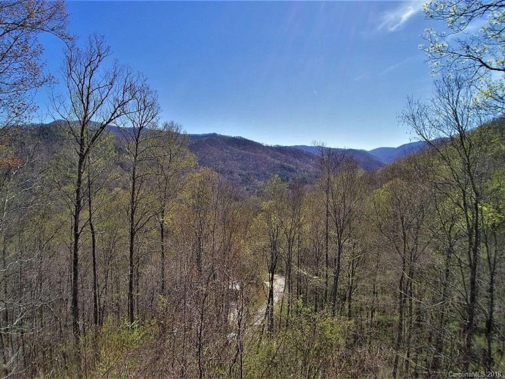 624 Carpenter Road Bryson City, NC 28713 - Photo 31 of 33 a view of a dry yard with trees in the background