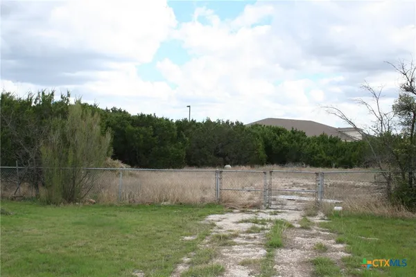 a view of backyard with green space