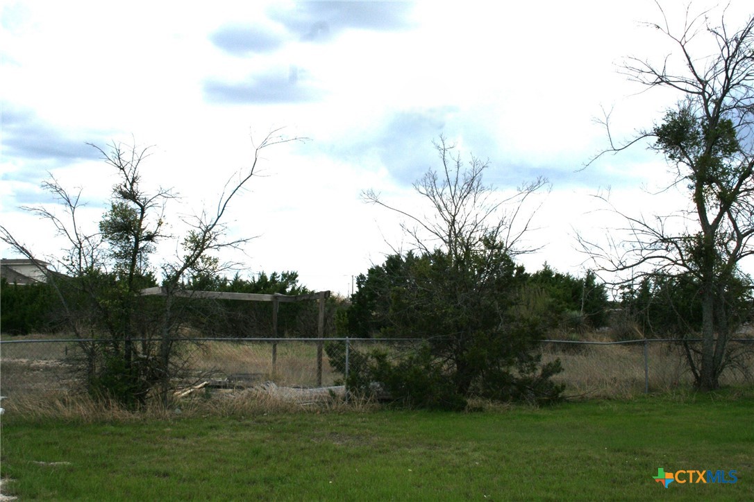 3402 Little Nolan Road Killeen, TX 76542 - Photo 32 of 37 a view of backyard with green space