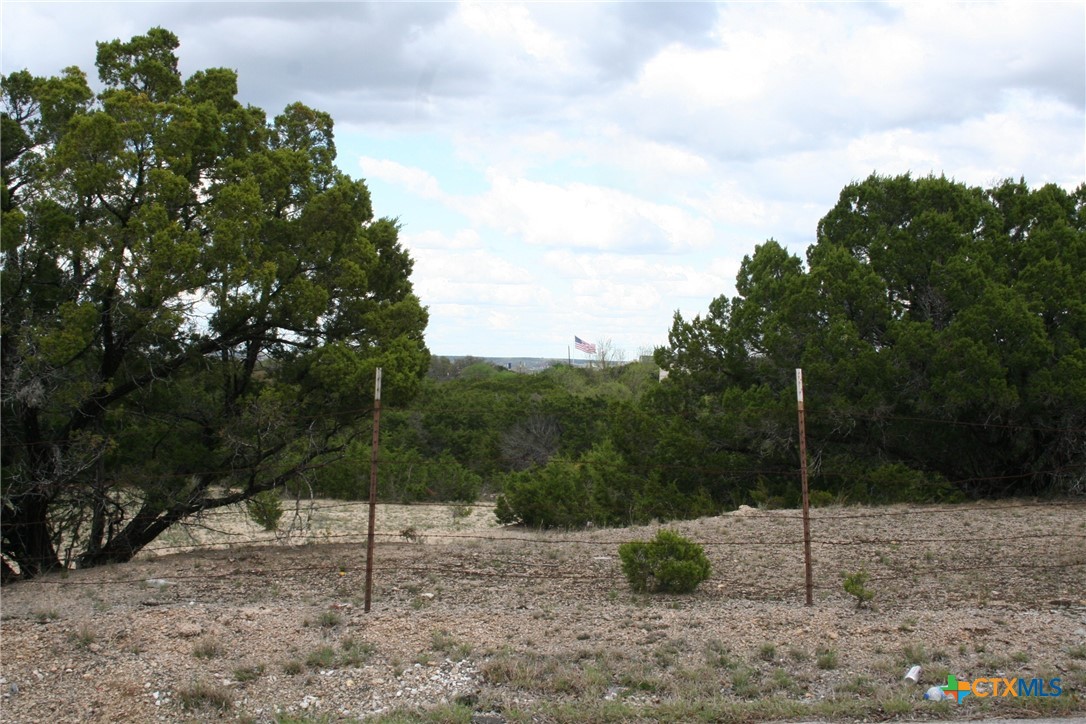 3402 Little Nolan Road Killeen, TX 76542 - Photo 36 of 37 a view of a backyard