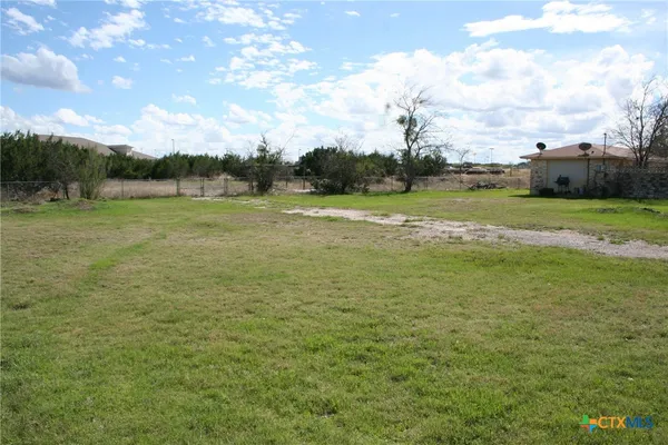 a view of a park with large trees